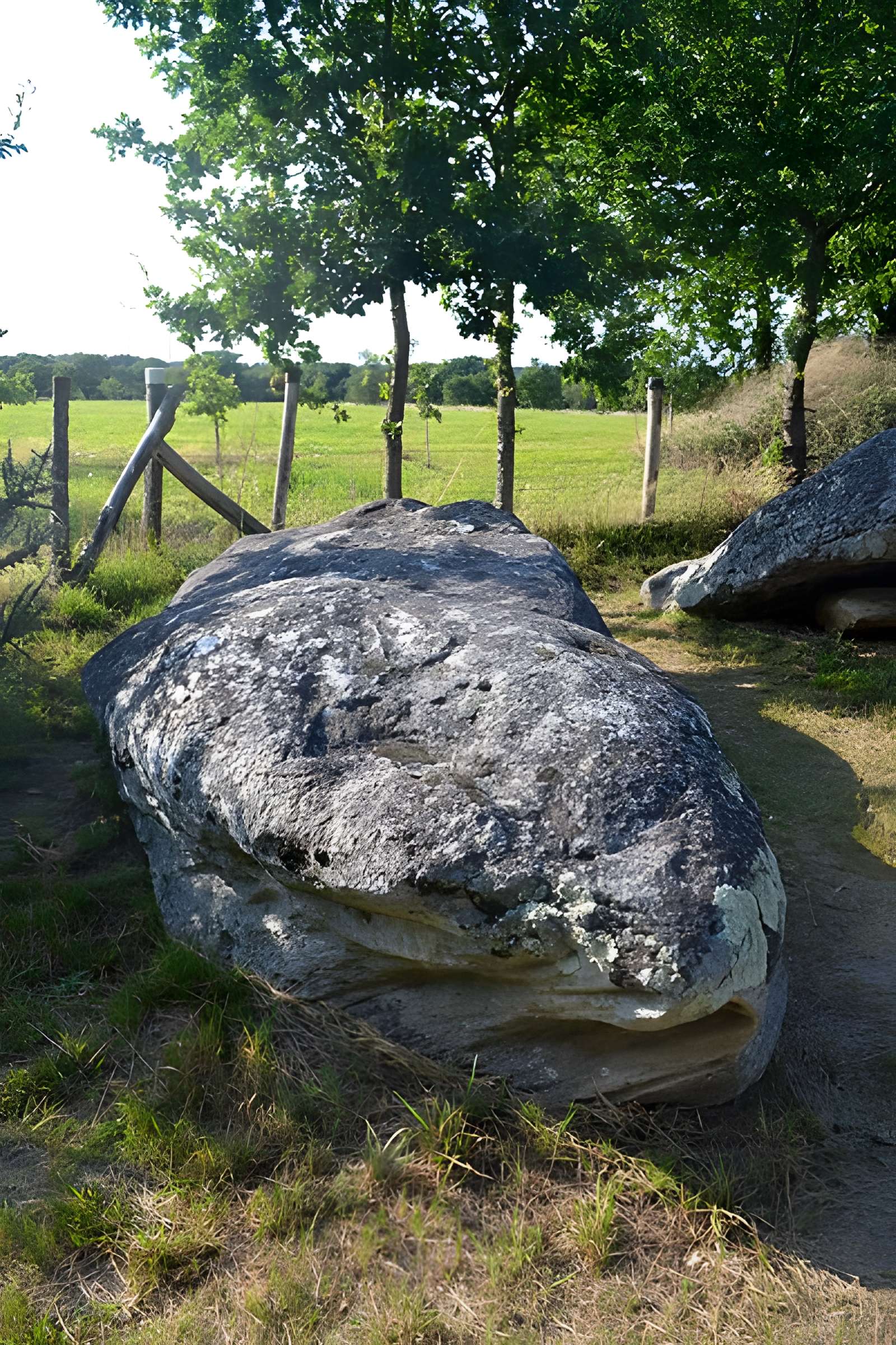 Pierre des Platennes