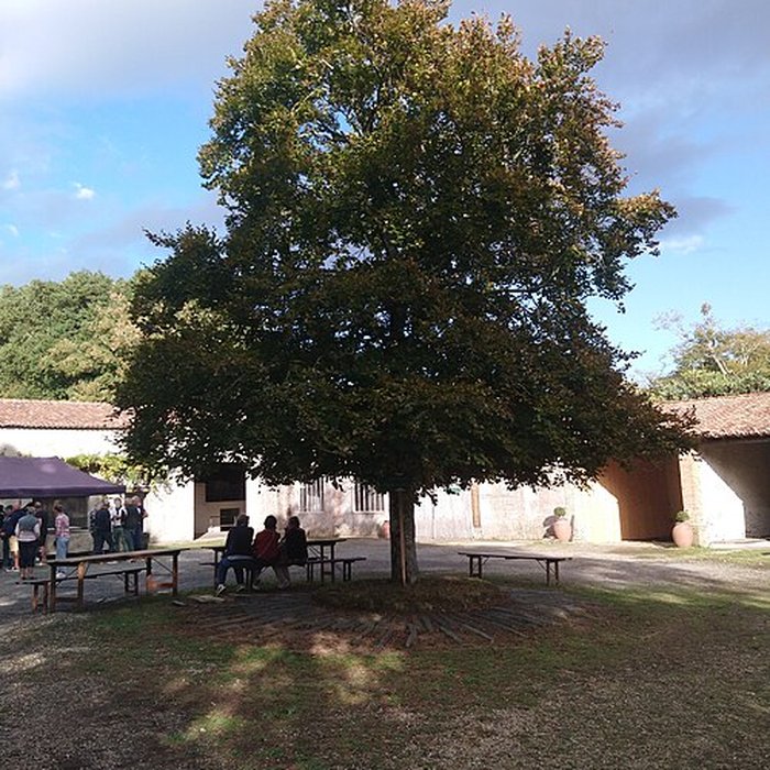 Photo de Château de la Berrière