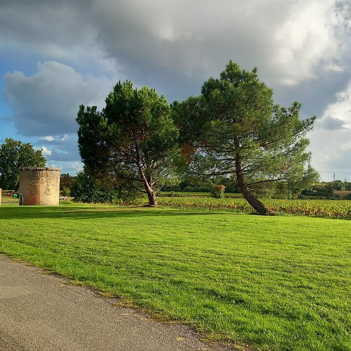 Photo de Château de la Berrière