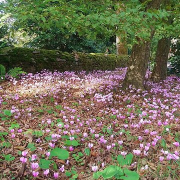 Château de la Berrière
