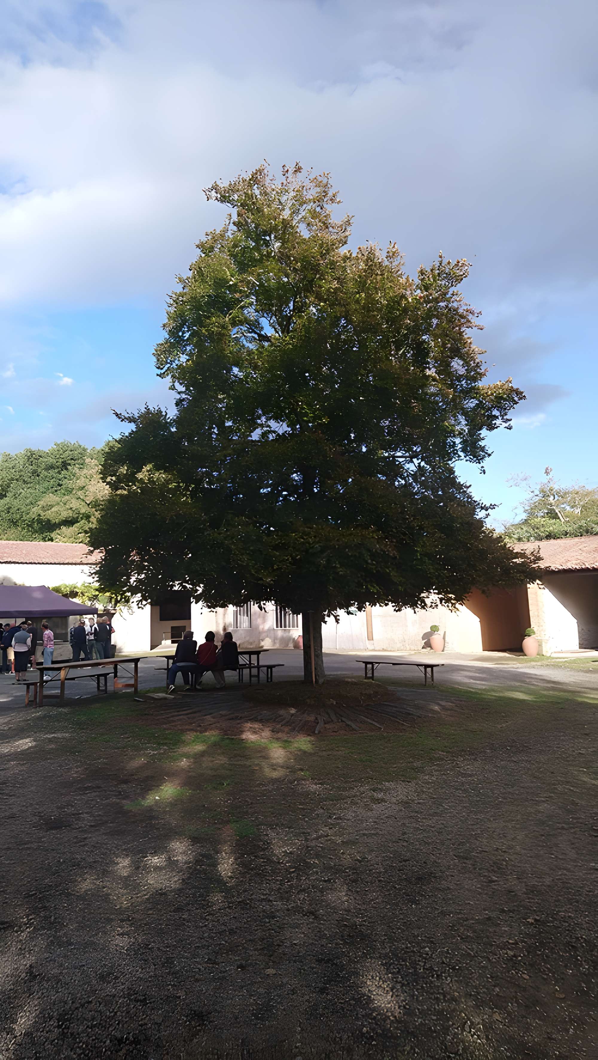Château de la Berrière