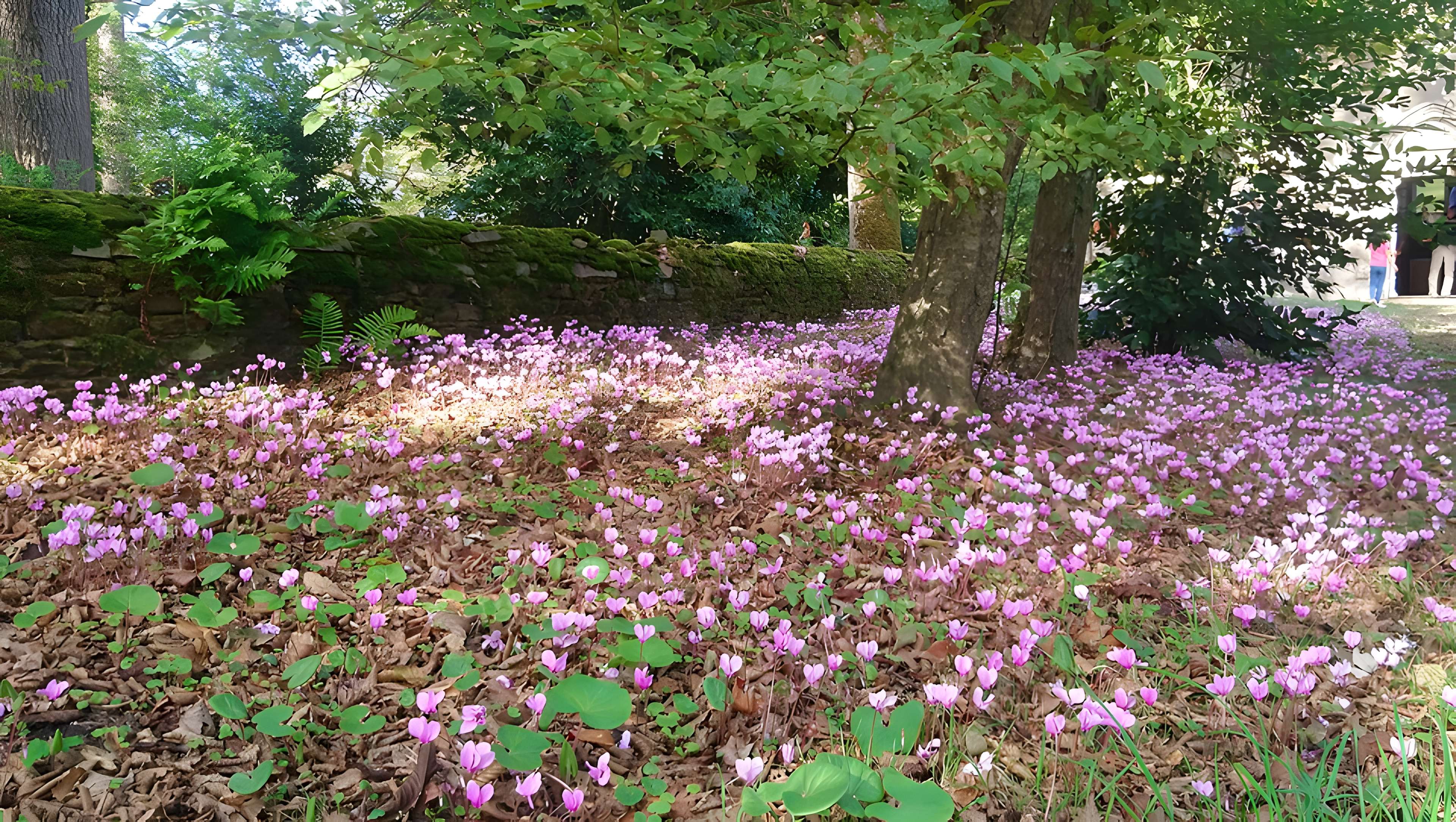 Château de la Berrière