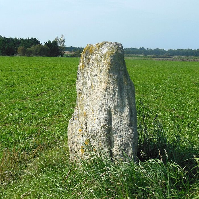 Photo de Menhir dit La pierre de Saillé