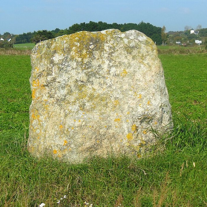 Photo de Menhir dit La pierre de Saillé
