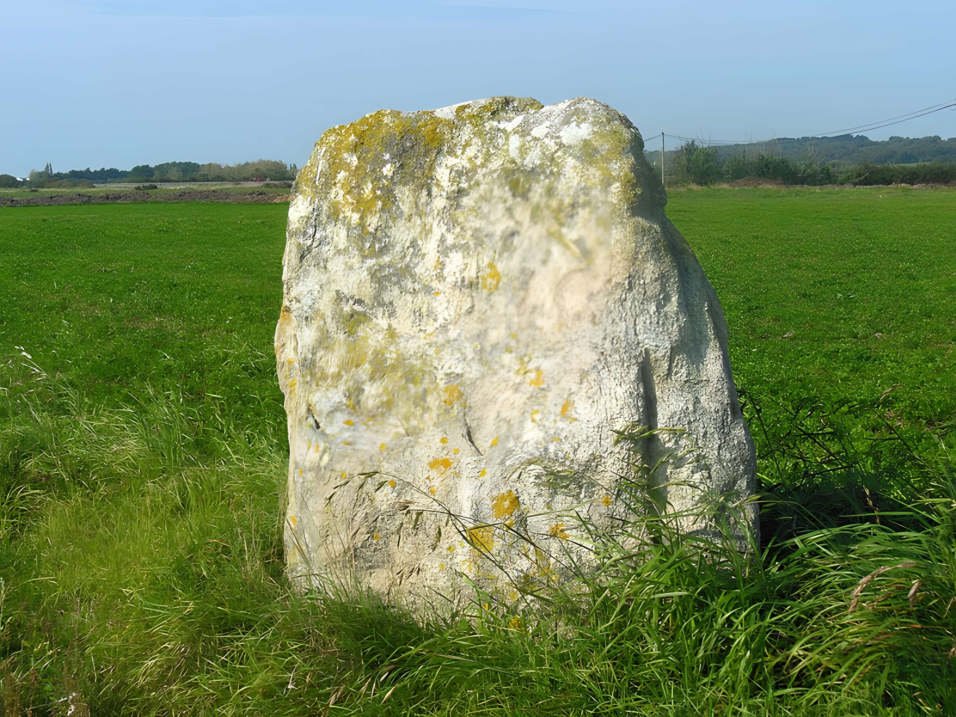 Menhir dit La pierre de Saillé