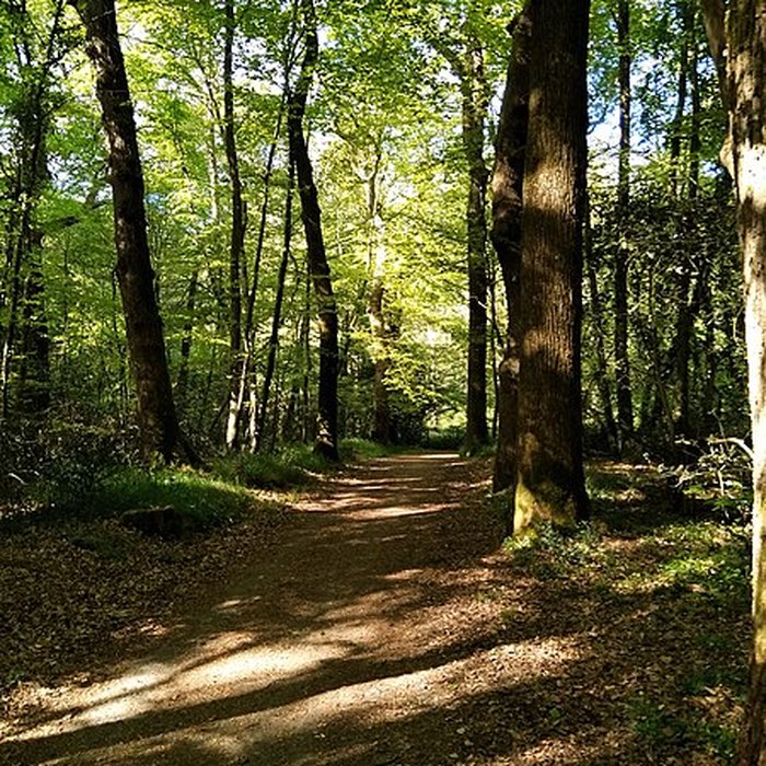 Photo de Château de la Mesnerie