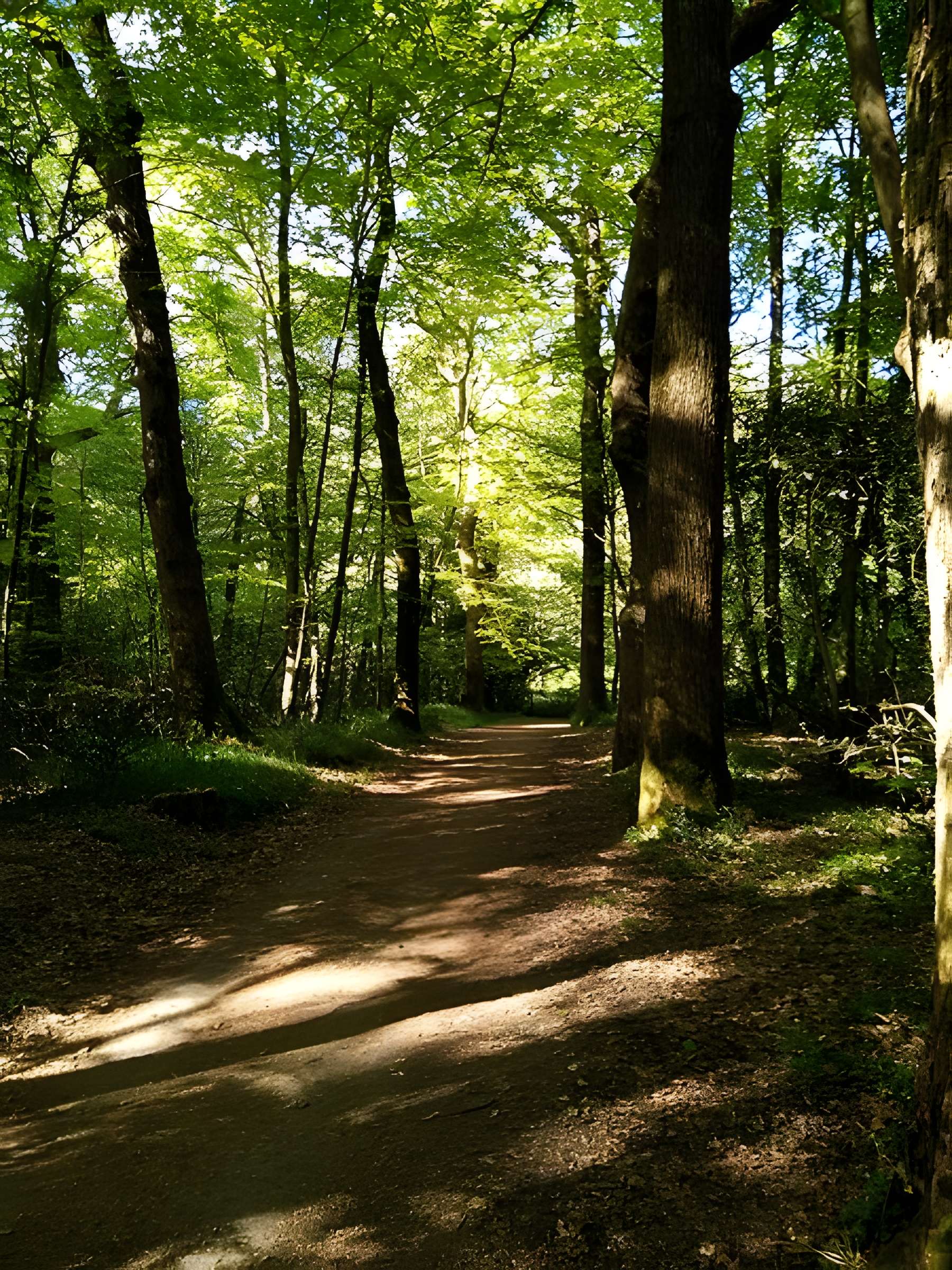 Château de la Mesnerie
