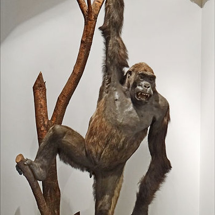 Photo de Immeuble dit le Temple du Goût