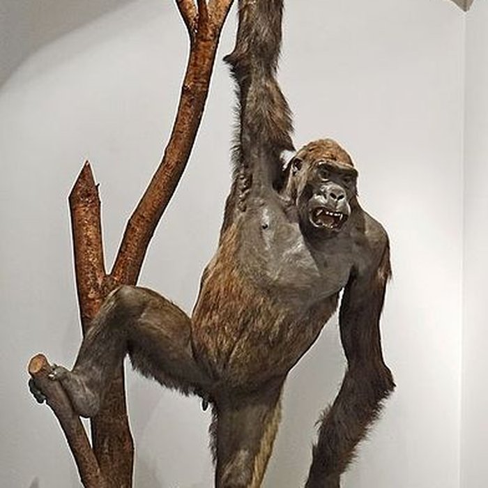 Photo de Immeuble dit le Temple du Goût