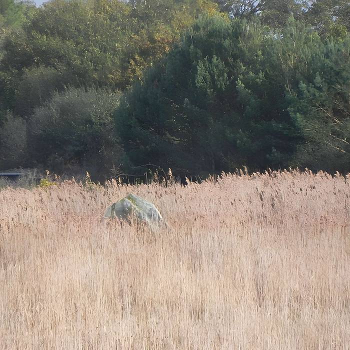 Photo de Menhir dit de Mézerac autrement dénommé Roche de Len