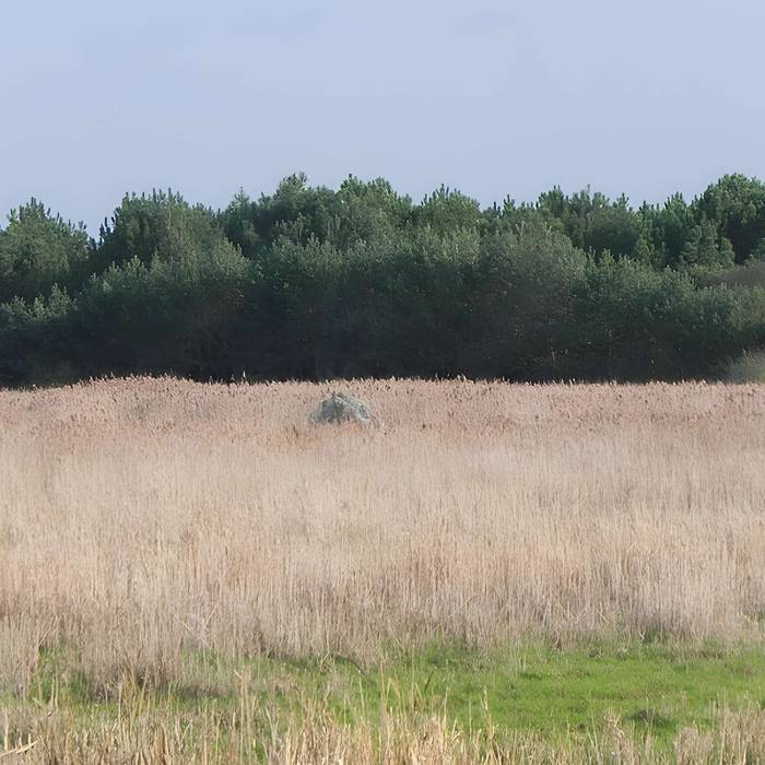 Photo de Menhir dit de Mézerac autrement dénommé Roche de Len