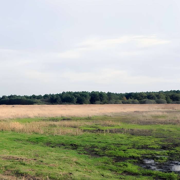 Photo de Menhir dit de Mézerac autrement dénommé Roche de Len