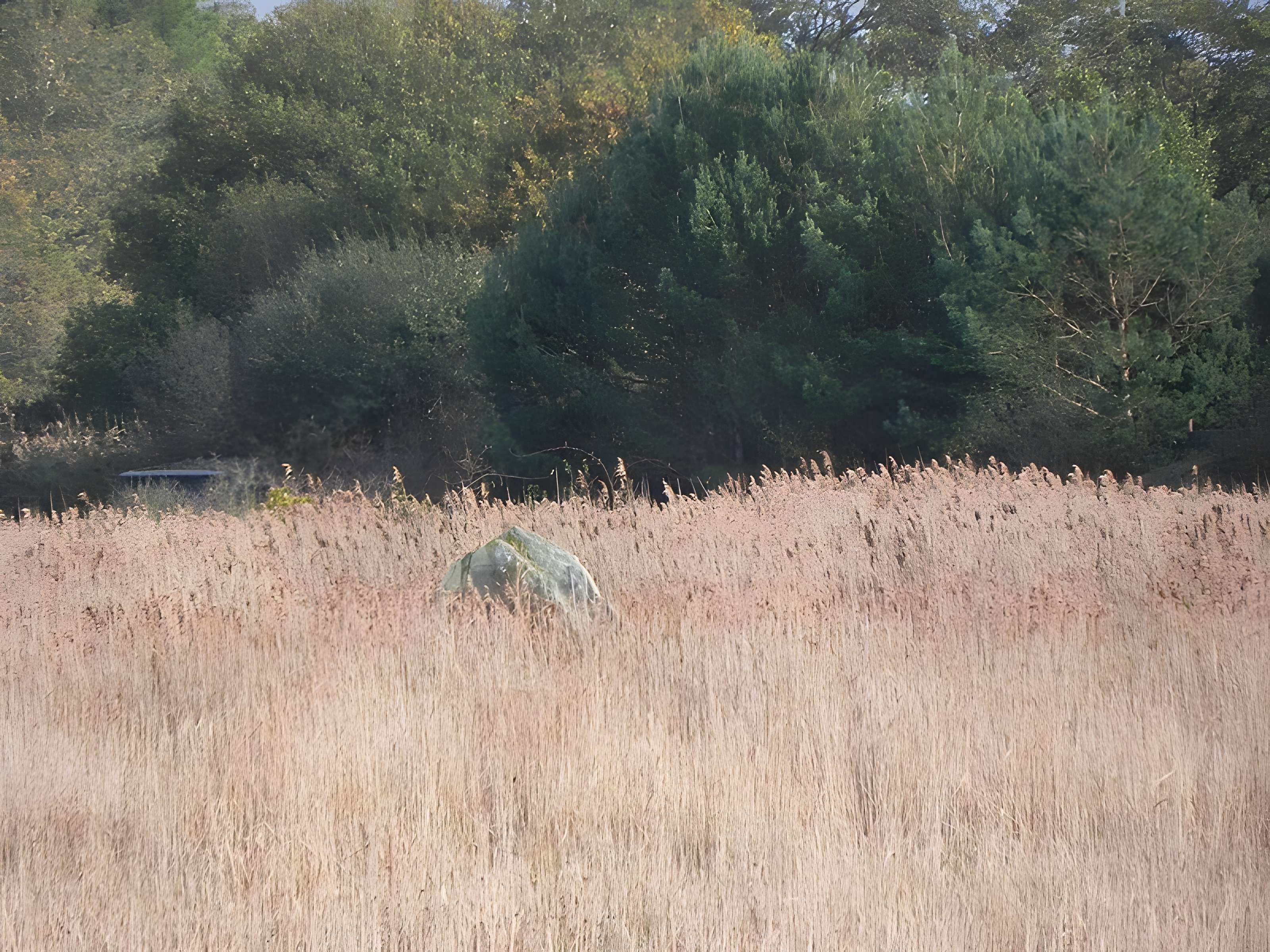 Menhir dit de Mézerac autrement dénommé Roche de Len