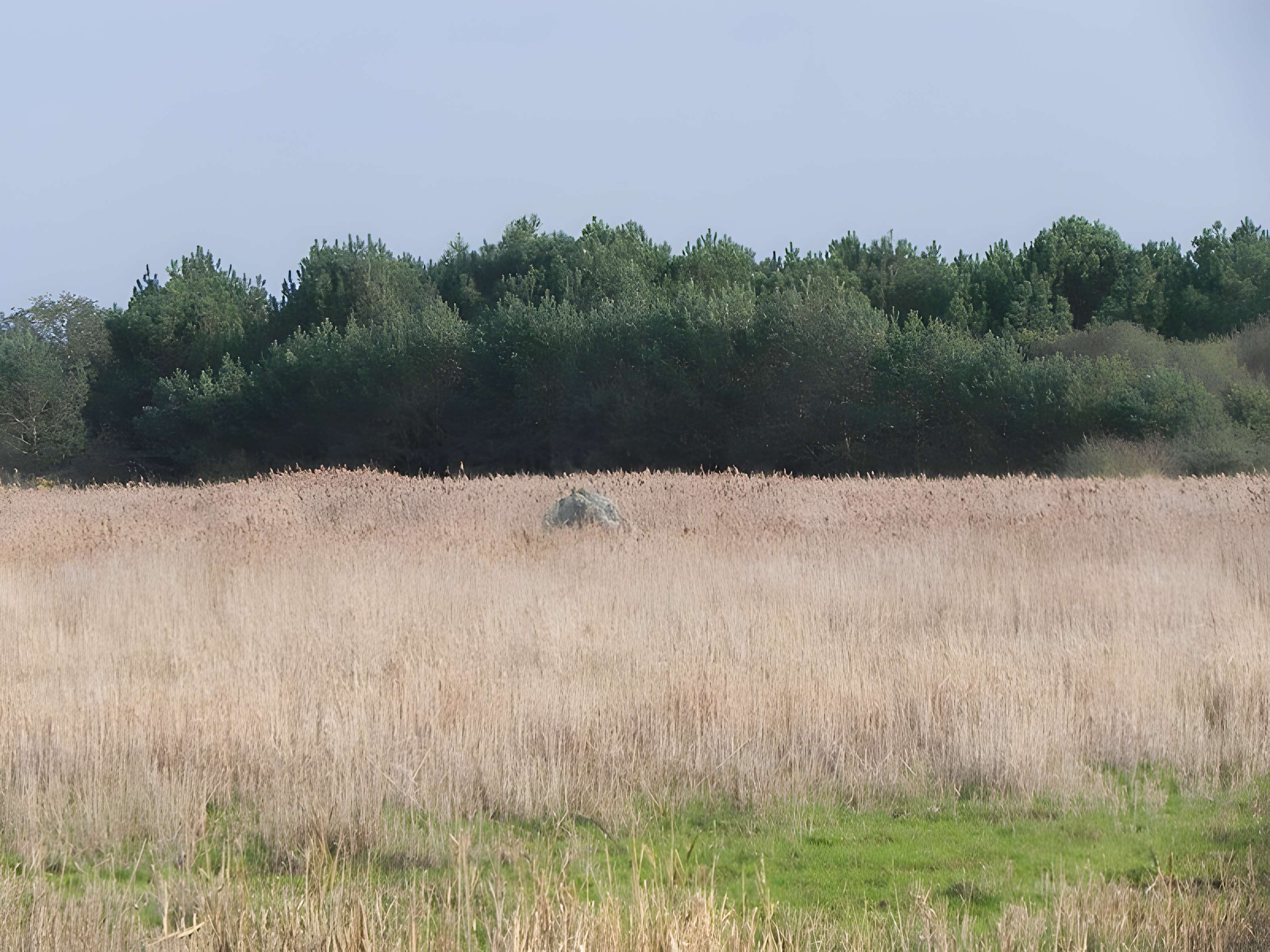 Menhir dit de Mézerac autrement dénommé Roche de Len
