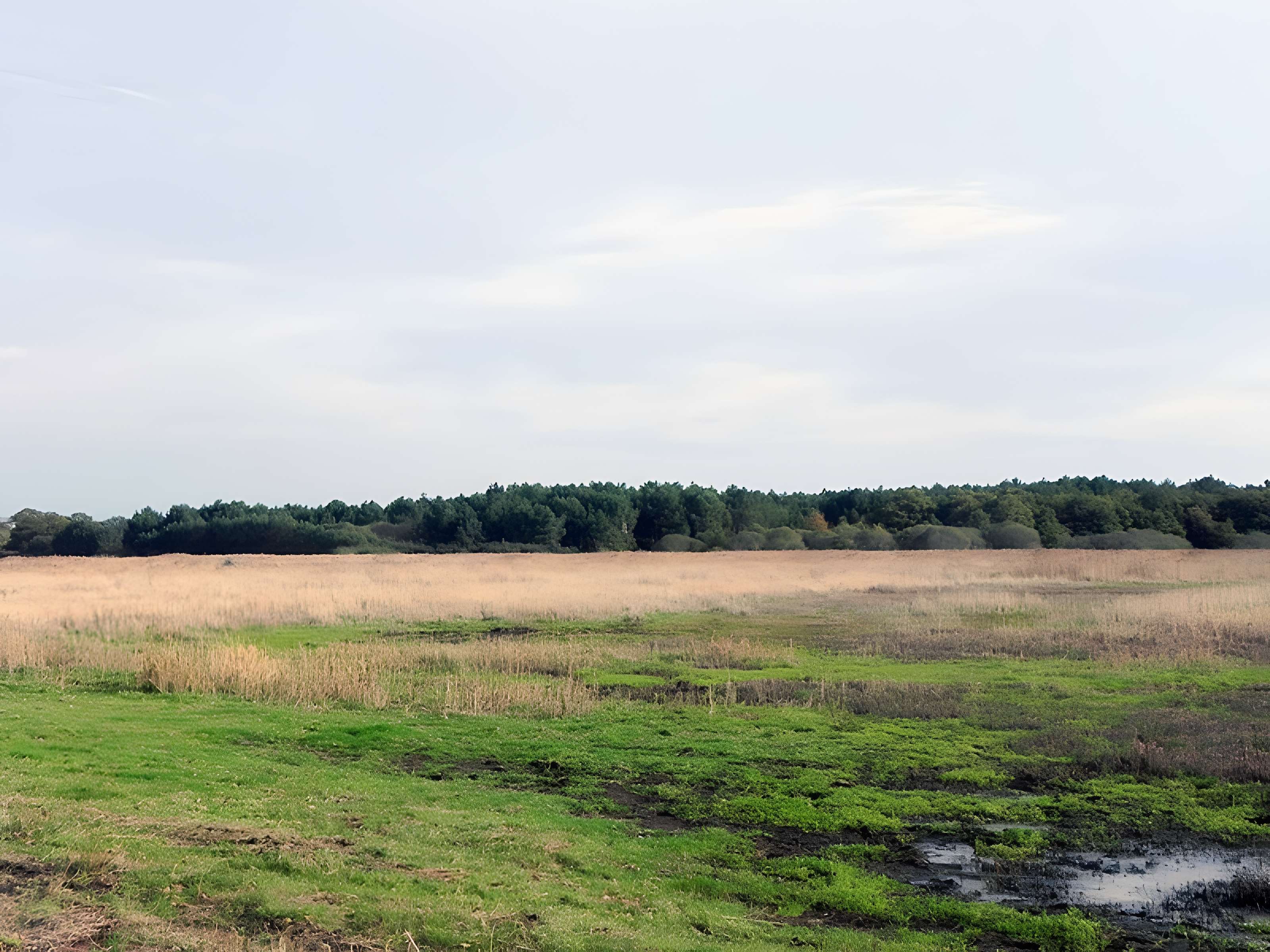 Menhir dit de Mézerac autrement dénommé Roche de Len