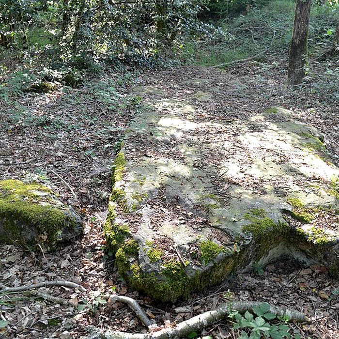 Photo de Monument mégalithique dénommée La Pierre de la Chopinière