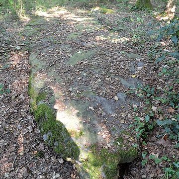 Monument mégalithique dénommée La Pierre de la Chopinière