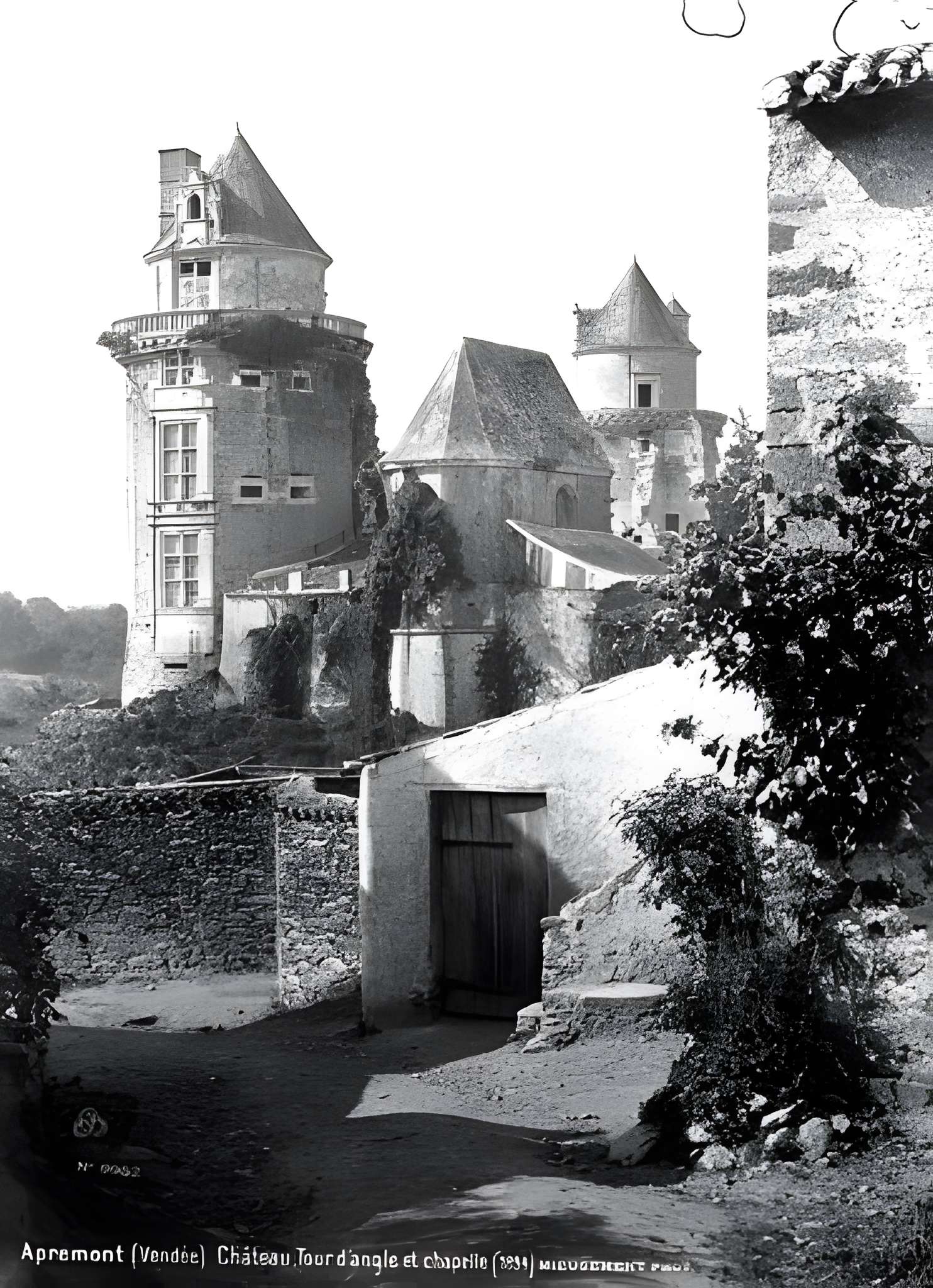 Château d'Apremont