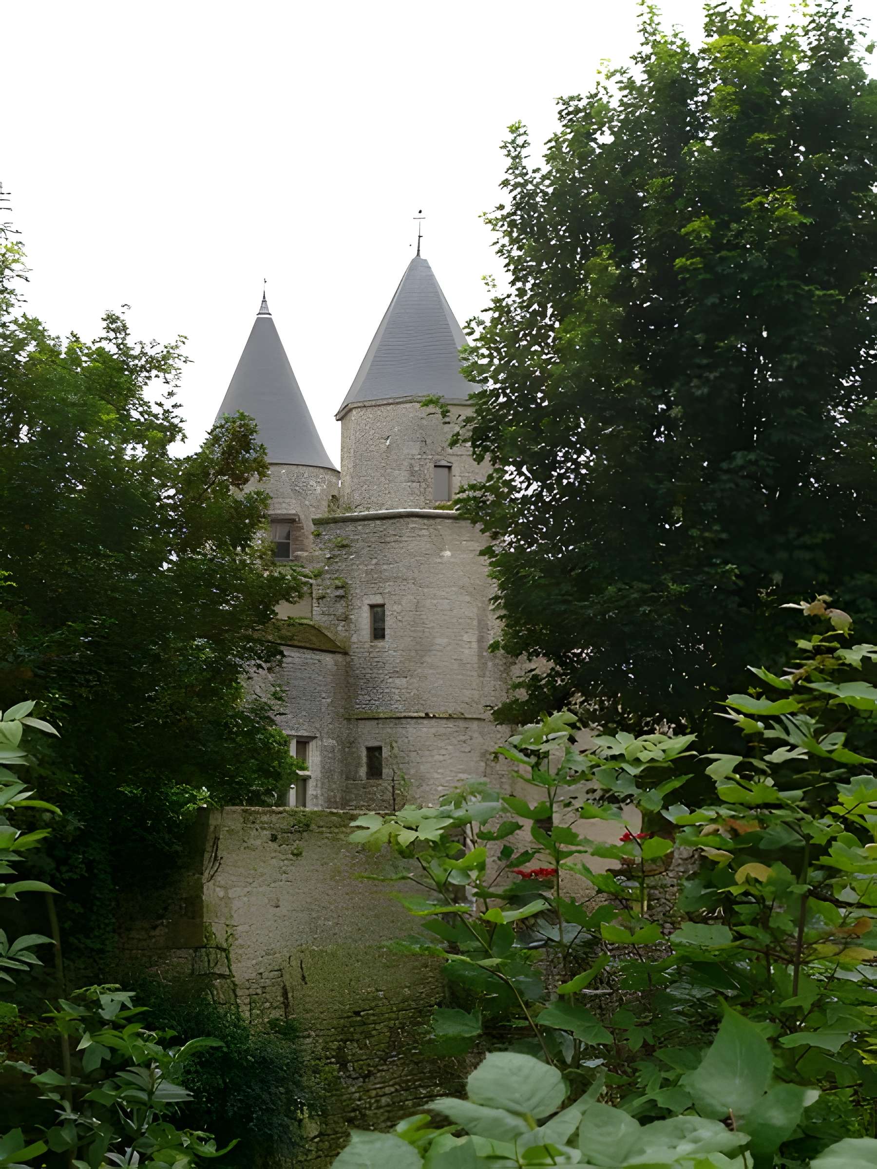 Château de Courcelles-le-Roi