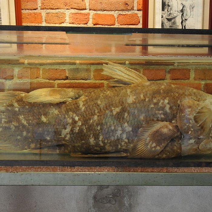 Photo de Château de la Bussière, actuellement musée de la Pêche