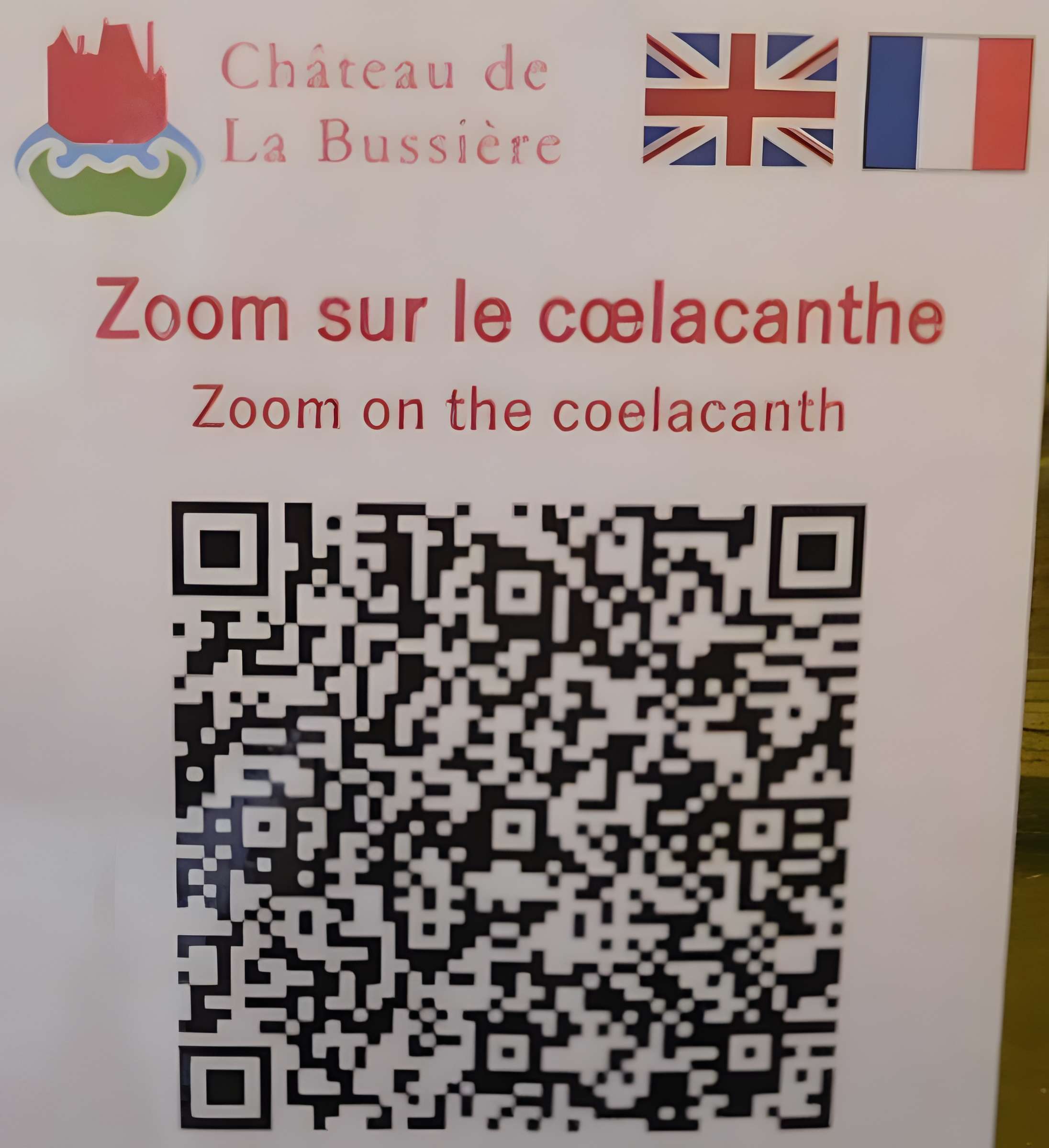 Château de la Bussière, actuellement musée de la Pêche