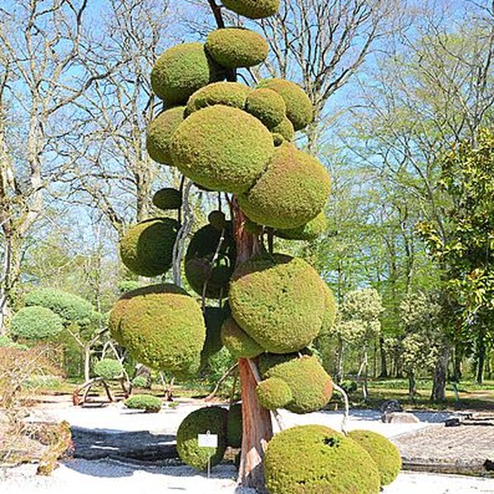 Photo de Parc floral de la Source