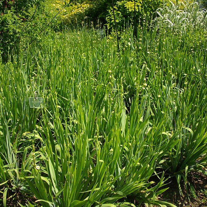 Photo de Parc floral de la Source