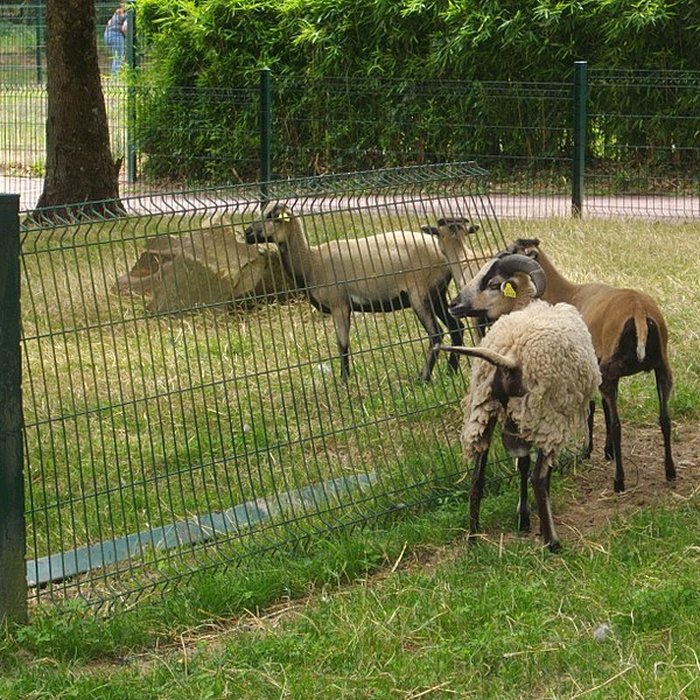 Photo de Parc floral de la Source