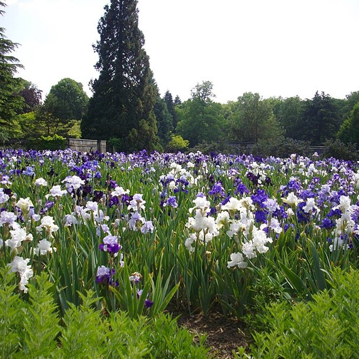 Photo de Parc floral de la Source