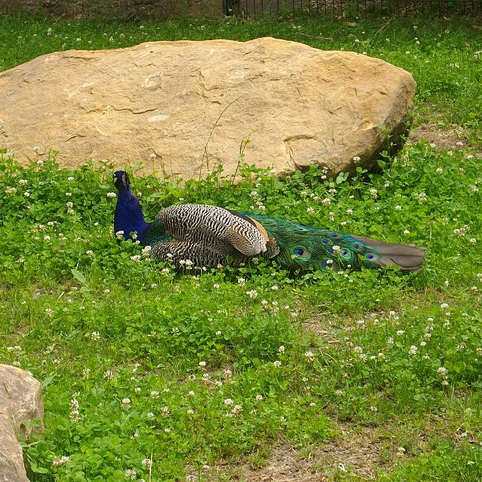 Photo de Parc floral de la Source