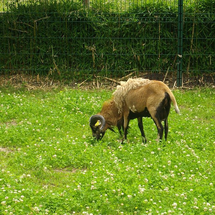 Photo de Parc floral de la Source