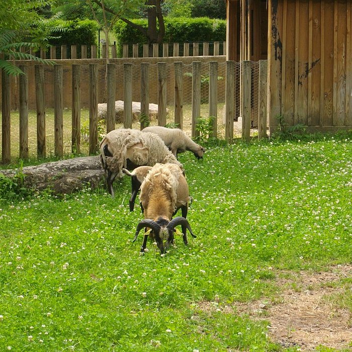 Photo de Parc floral de la Source