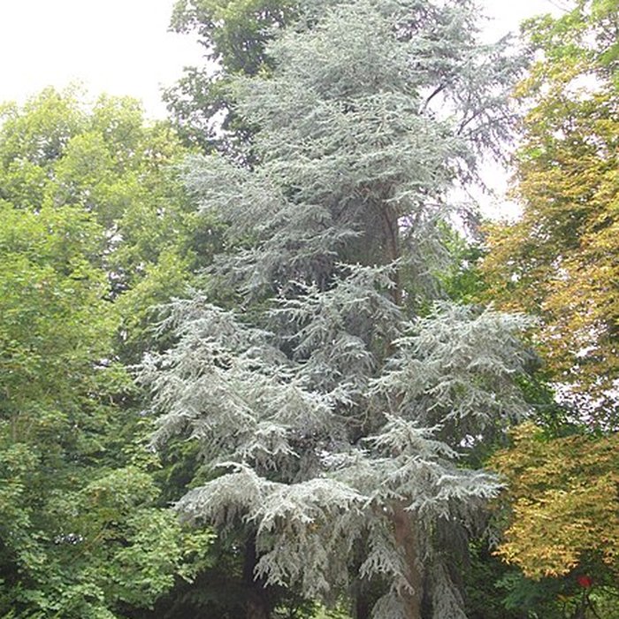 Photo de Parc floral de la Source