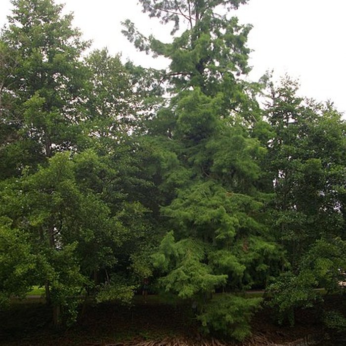 Photo de Parc floral de la Source