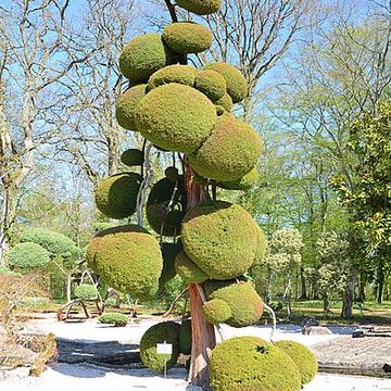 Parc floral de la Source