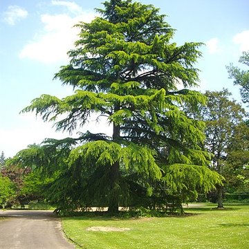 Parc floral de la Source