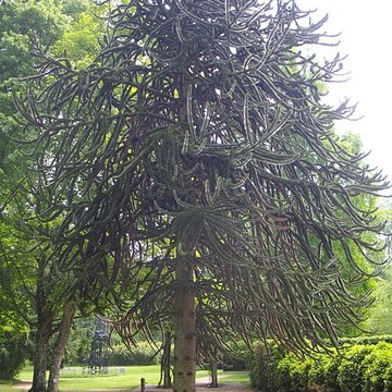 Parc floral de la Source