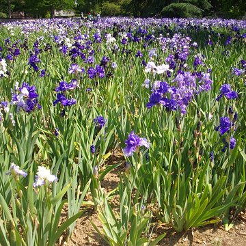 Parc floral de la Source