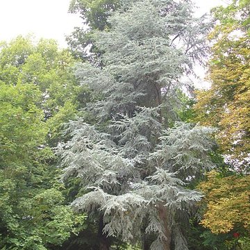 Parc floral de la Source