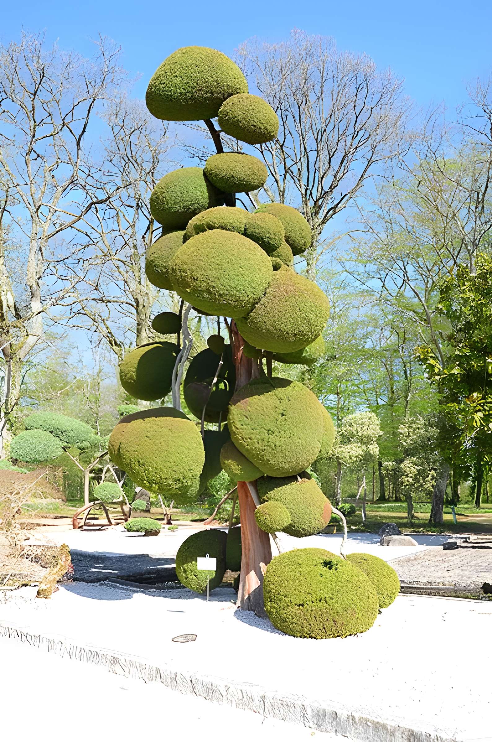 Parc floral de la Source