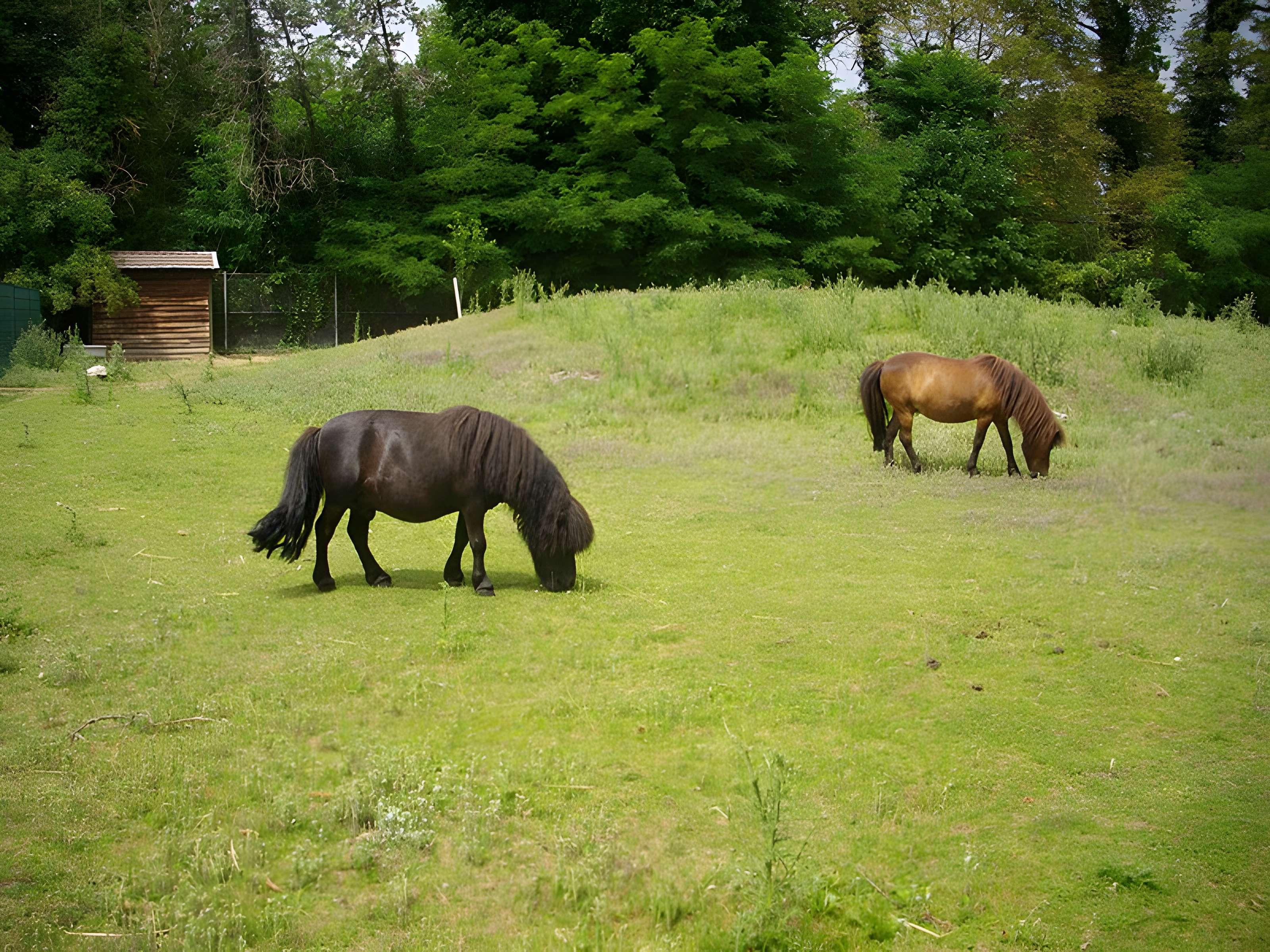 Parc floral de la Source