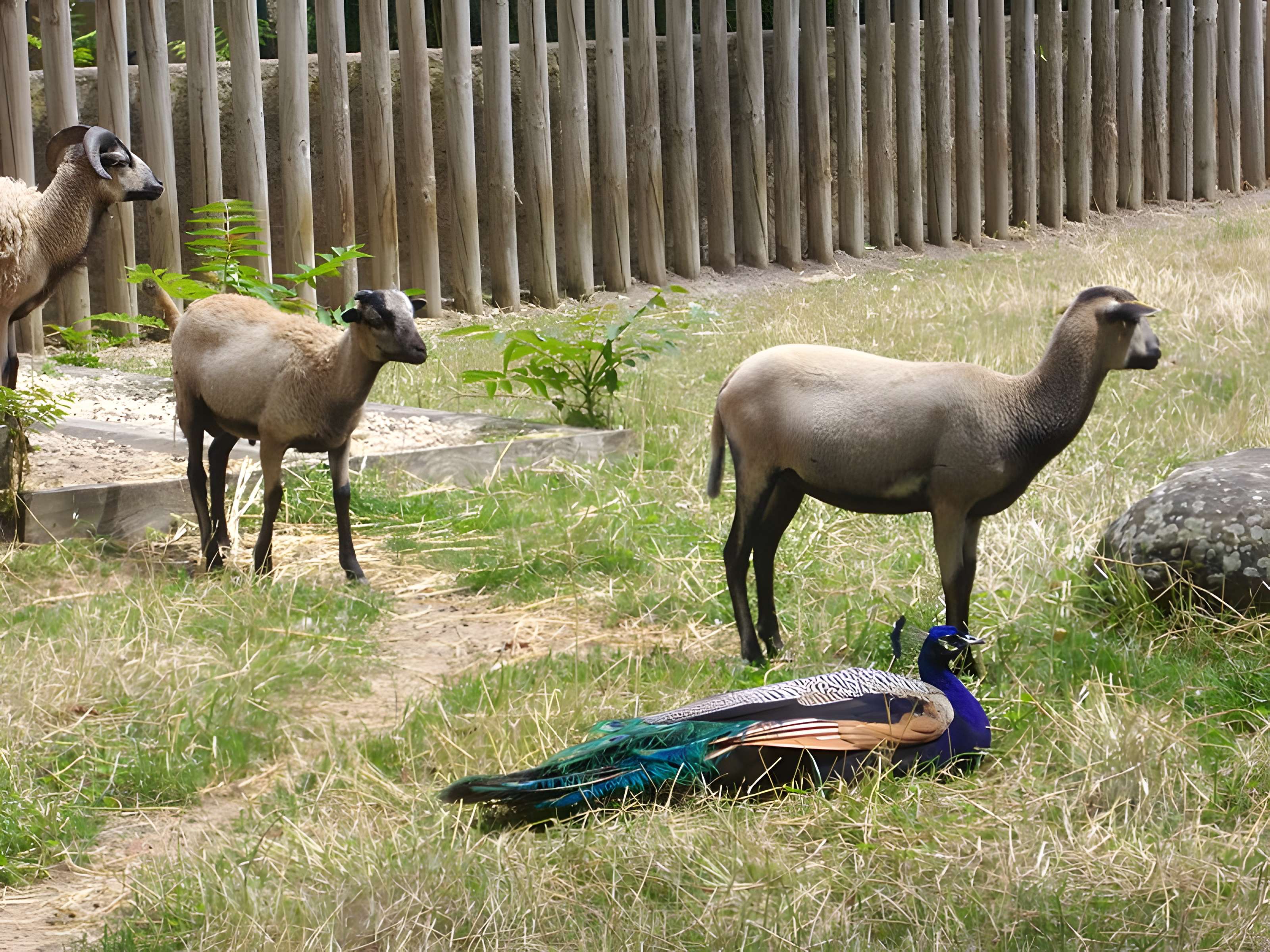Parc floral de la Source