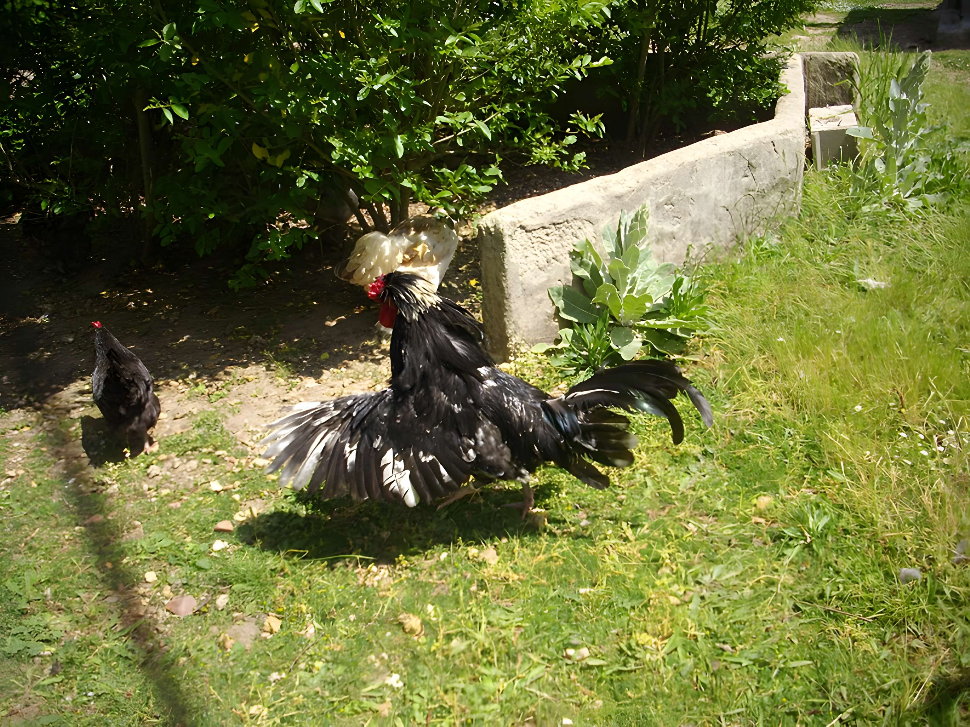 Parc floral de la Source