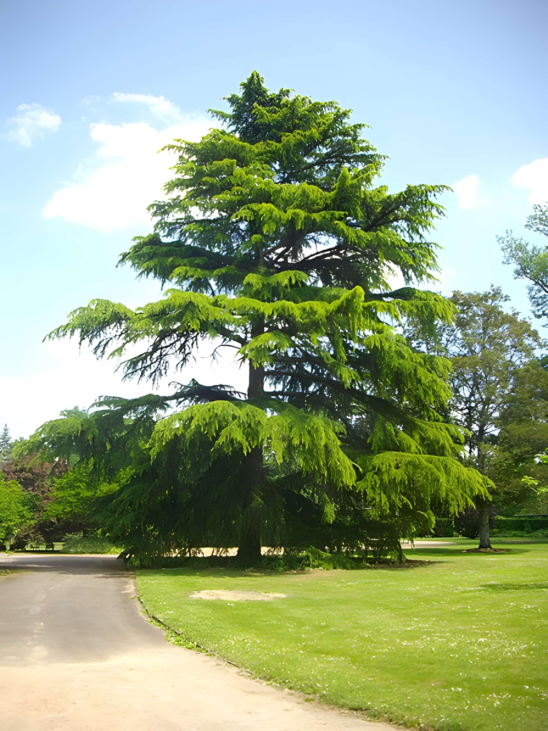 Parc floral de la Source