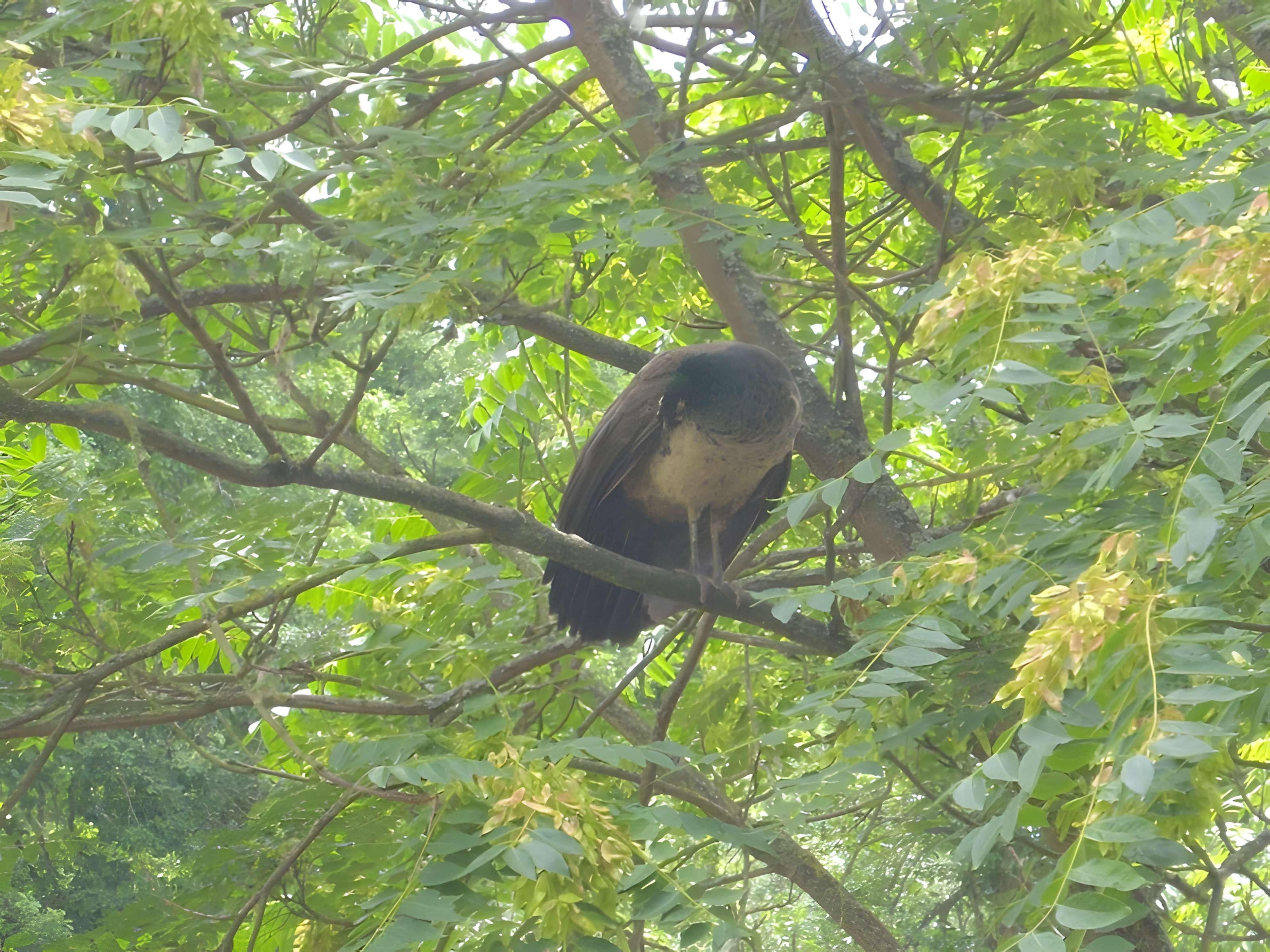 Parc floral de la Source