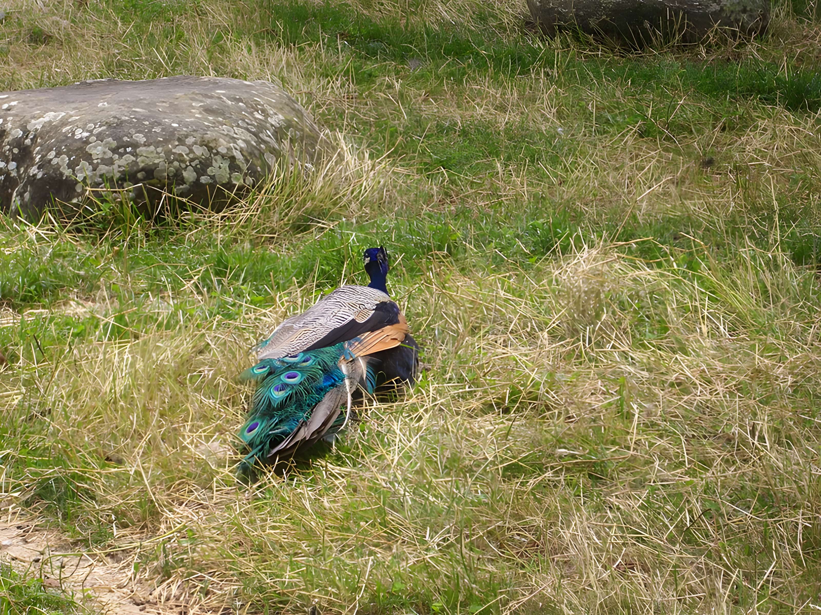 Parc floral de la Source