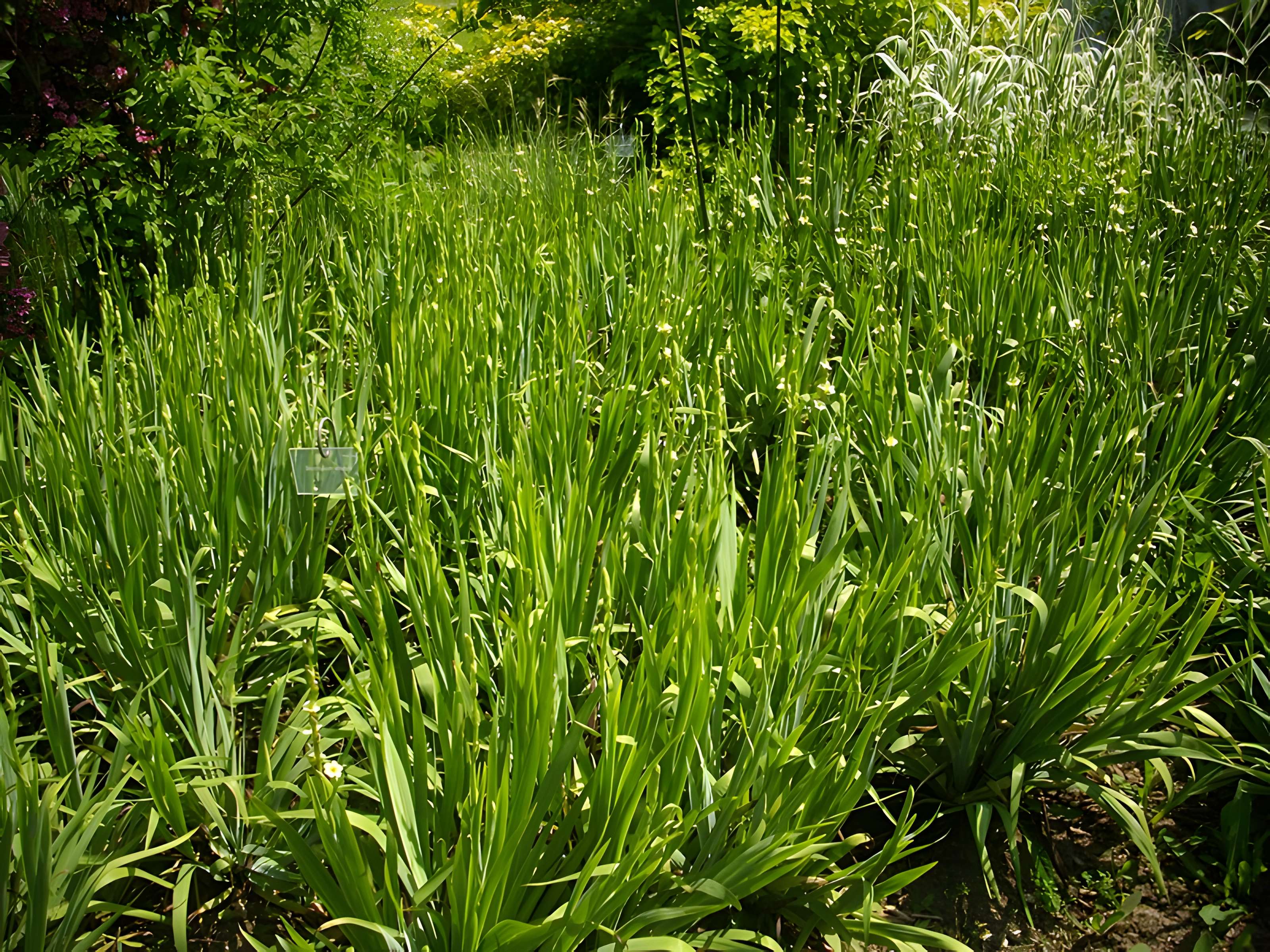 Parc floral de la Source