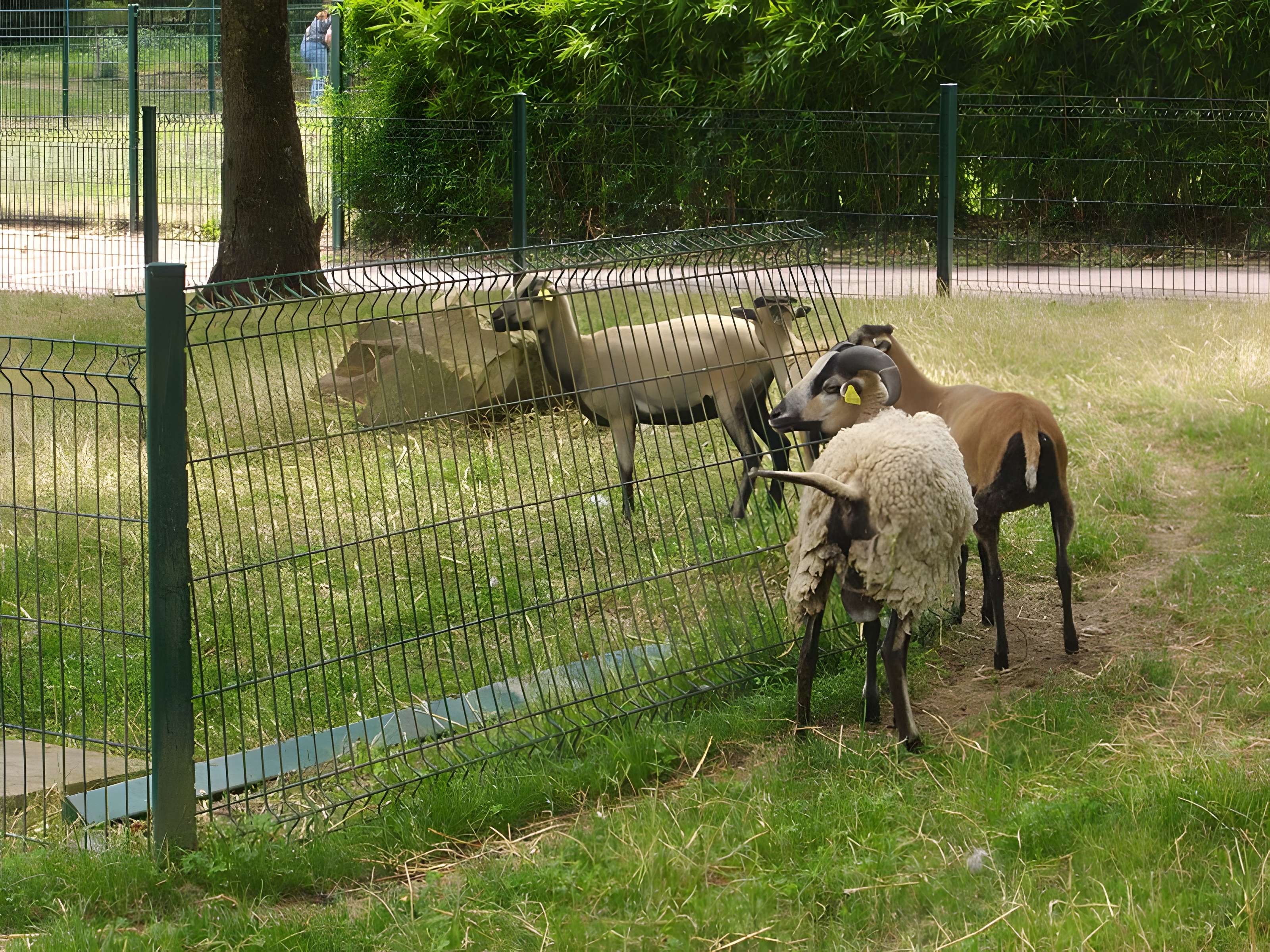 Parc floral de la Source