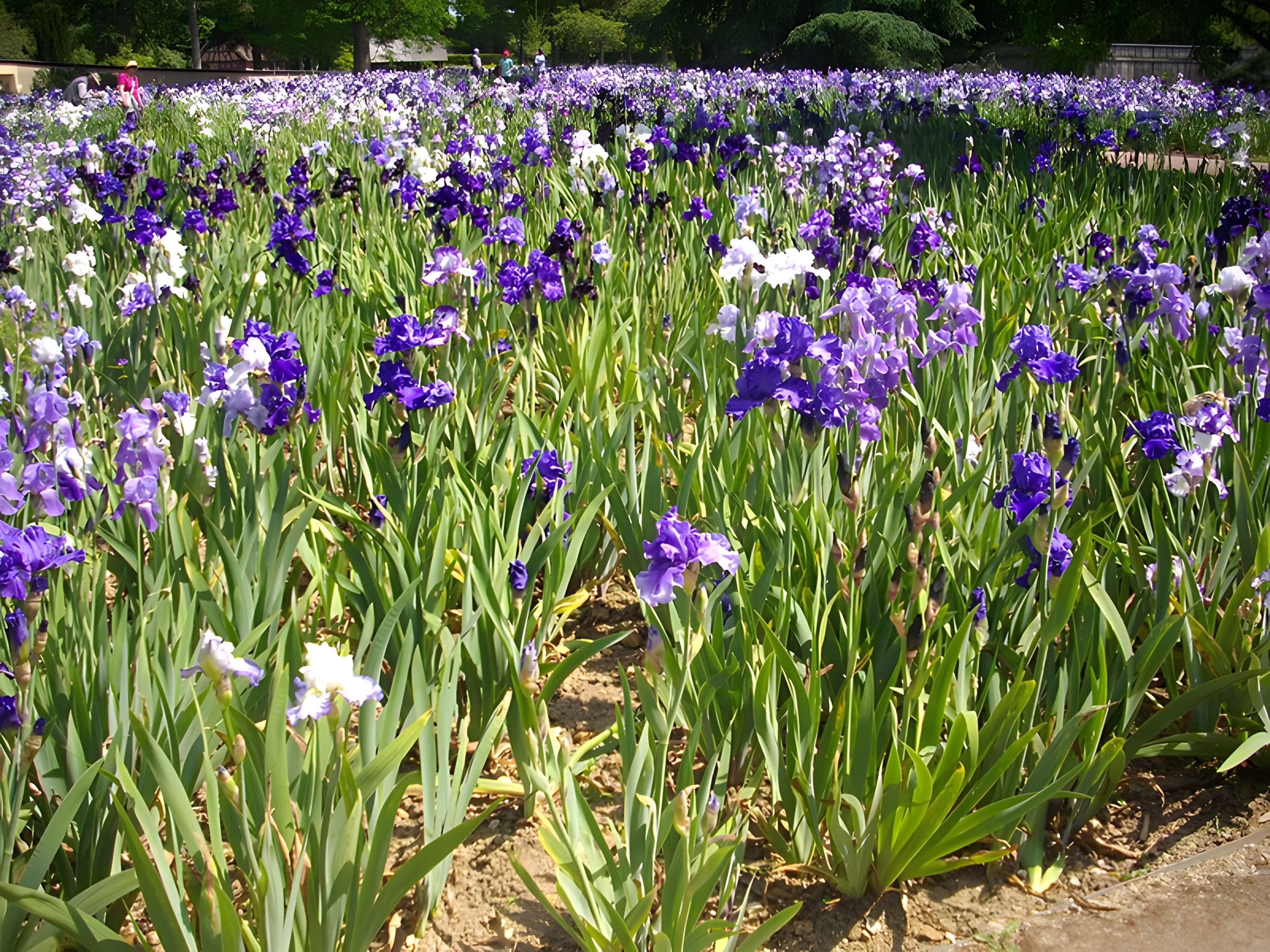 Parc floral de la Source
