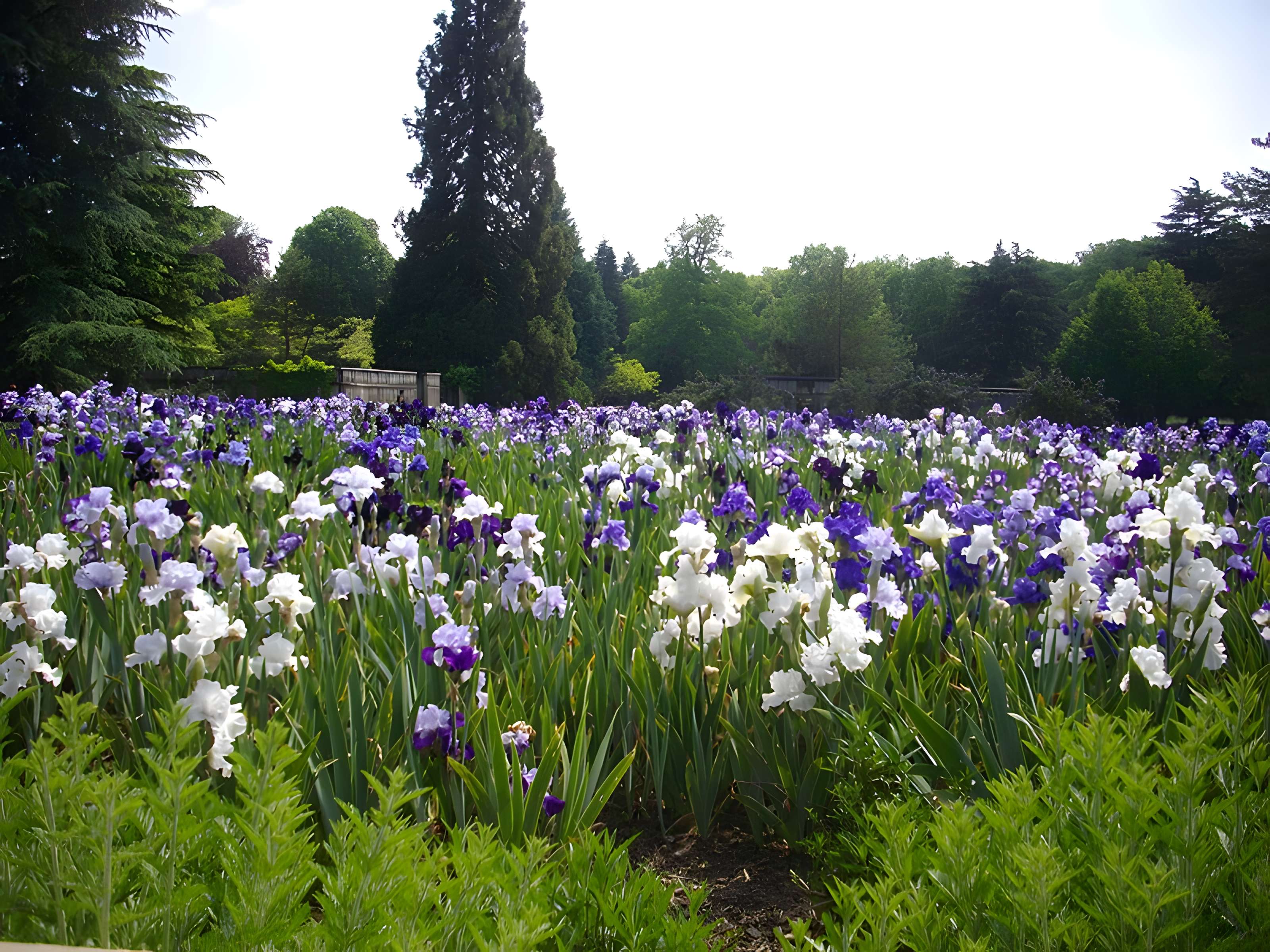 Parc floral de la Source